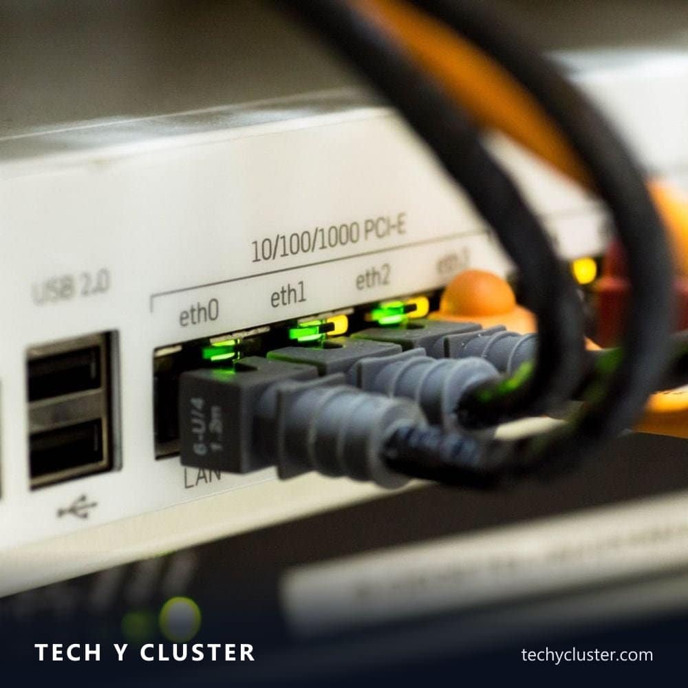 Ethernet cables plugged into a network switch